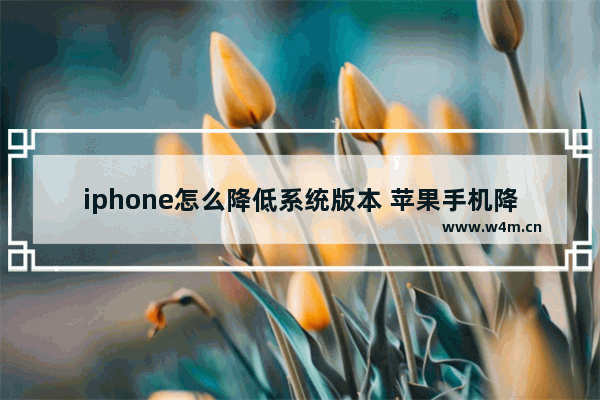 iphone怎么降低系统版本 苹果手机降低系统版本的步骤