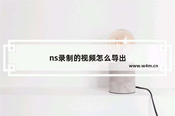 ns录制的视频怎么导出