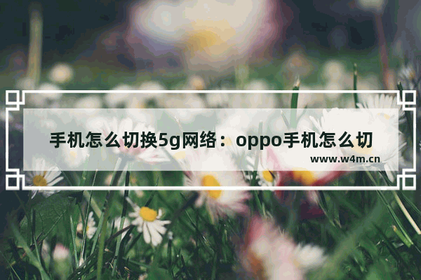 手机怎么切换5g网络：oppo手机怎么切换5g网络