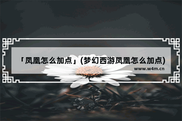 「凤凰怎么加点」(梦幻西游凤凰怎么加点)