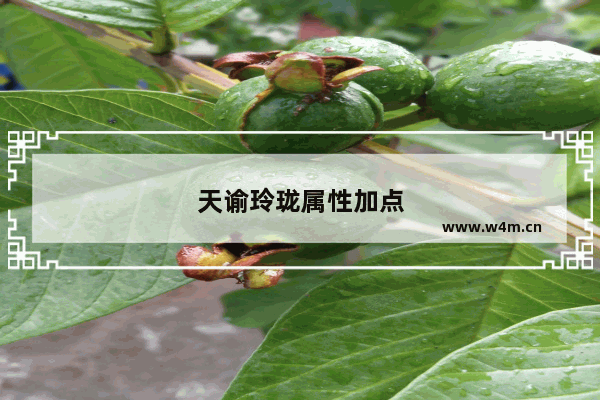 天谕玲珑属性加点