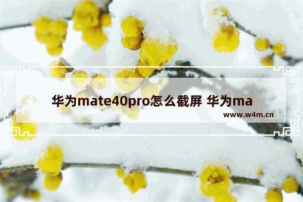 华为mate40pro怎么截屏 华为mate40pro怎么截屏的4种方法