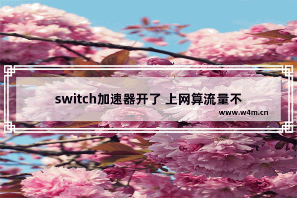 switch加速器开了 上网算流量不