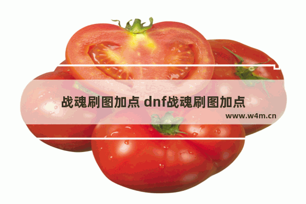 战魂刷图加点 dnf战魂刷图加点