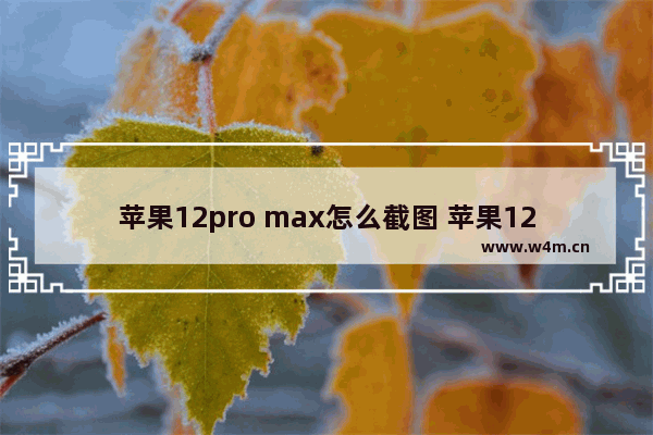 苹果12pro max怎么截图 苹果12pro max怎么截图方便