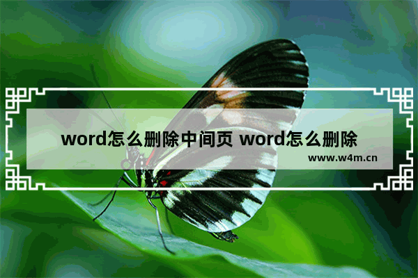 word怎么删除中间页 word怎么删除中间页码