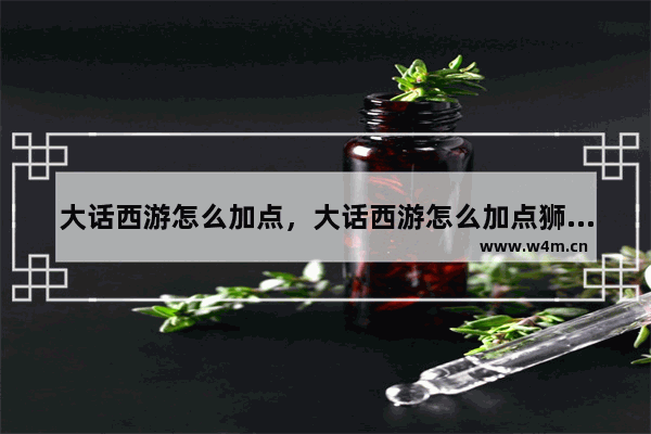 大话西游怎么加点，大话西游怎么加点狮虎兽