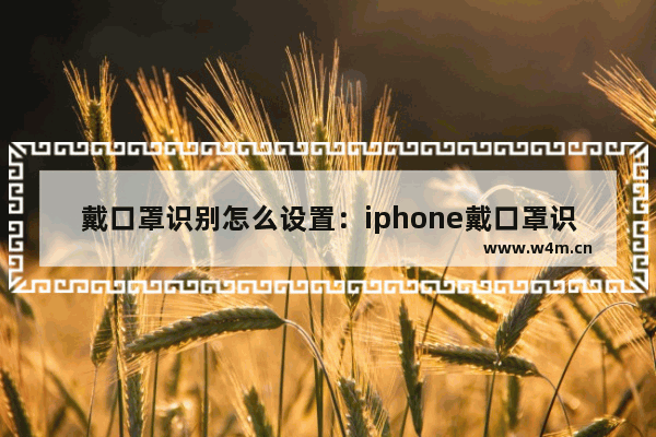 戴口罩识别怎么设置：iphone戴口罩识别怎么设置