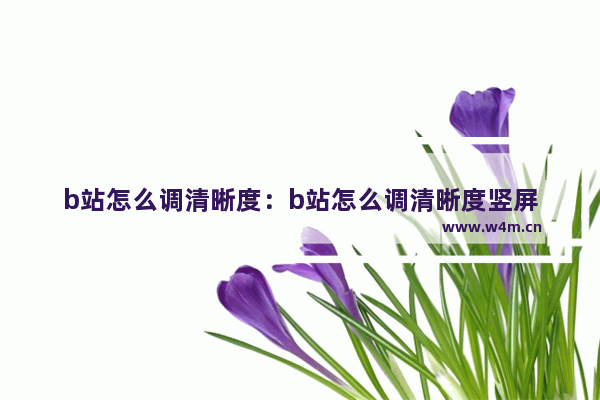 b站怎么调清晰度：b站怎么调清晰度竖屏