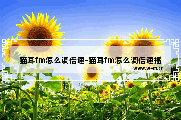 猫耳fm怎么调倍速-猫耳fm怎么调倍速播放