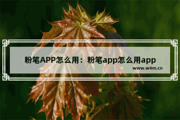 粉笔APP怎么用：粉笔app怎么用apple pencil