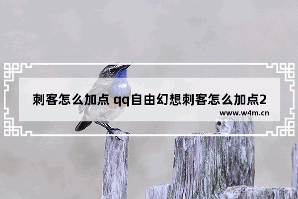 刺客怎么加点 qq自由幻想刺客怎么加点2020