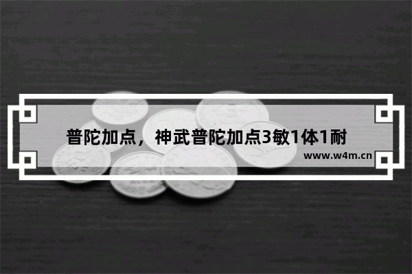 普陀加点，神武普陀加点3敏1体1耐