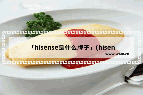 「hisense是什么牌子」(hisense是什么牌子的空调手机遥控)