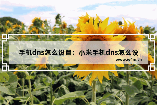 手机dns怎么设置：小米手机dns怎么设置