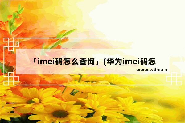 「imei码怎么查询」(华为imei码怎么查询)