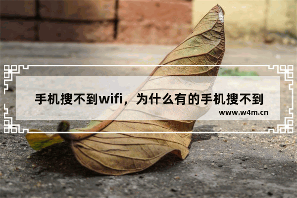 手机搜不到wifi，为什么有的手机搜不到wifi有的可以