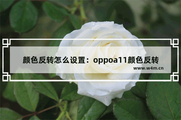 颜色反转怎么设置：oppoa11颜色反转怎么设置