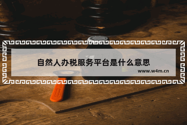 自然人办税服务平台是什么意思