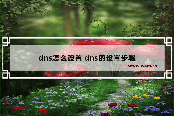 dns怎么设置 dns的设置步骤