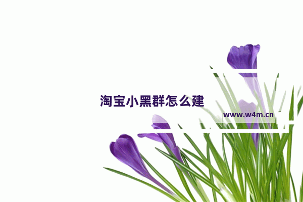 淘宝小黑群怎么建