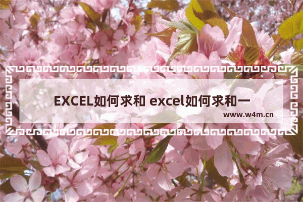 EXCEL如何求和 excel如何求和一行数据sum