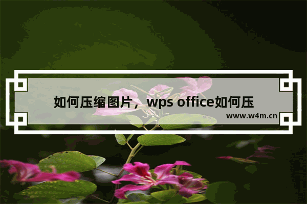 如何压缩图片，wps office如何压缩图片