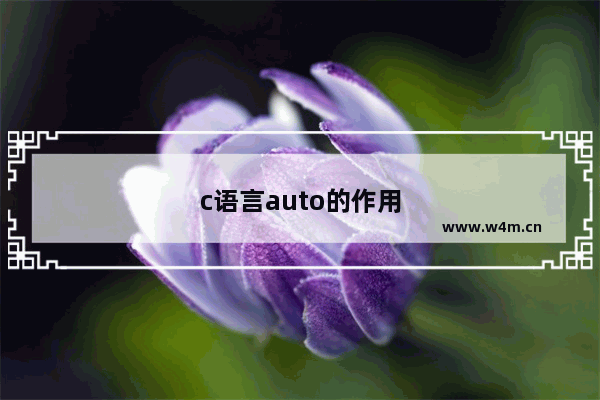 c语言auto的作用