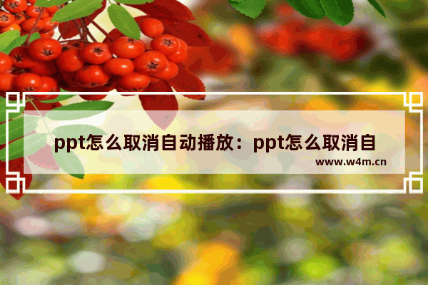 ppt怎么取消自动播放：ppt怎么取消自动播放幻灯片