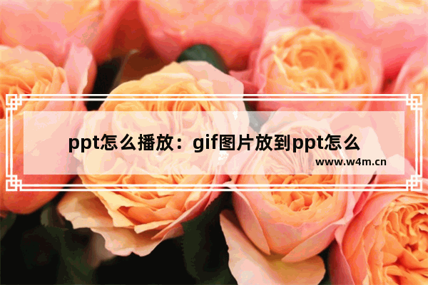 ppt怎么播放：gif图片放到ppt怎么播放