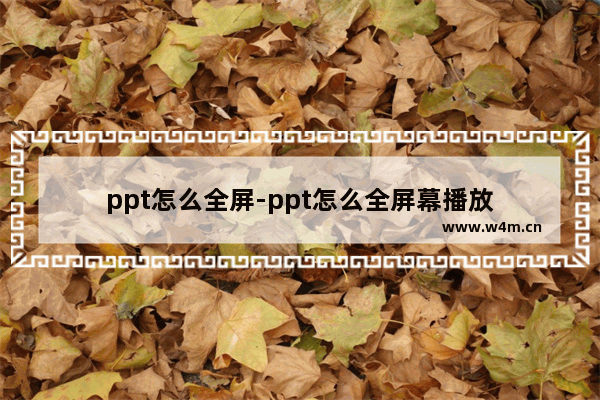 ppt怎么全屏-ppt怎么全屏幕播放