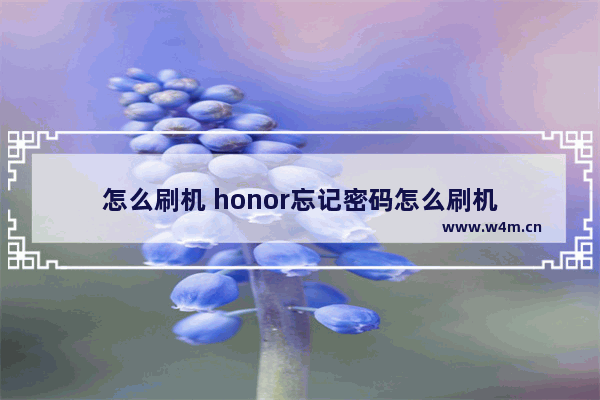 怎么刷机 honor忘记密码怎么刷机