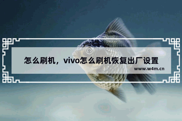 怎么刷机，vivo怎么刷机恢复出厂设置