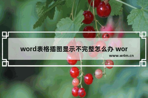 word表格插图显示不完整怎么办 word表格插图显示不完整的解决方法