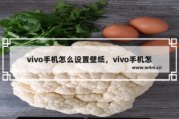 vivo手机怎么设置壁纸，vivo手机怎么设置壁纸自动更换