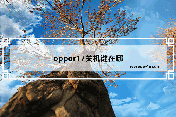 oppor17关机键在哪