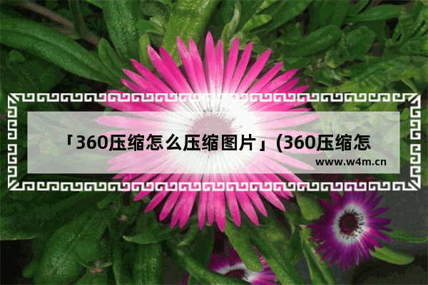 「360压缩怎么压缩图片」(360压缩怎么压缩图片大小)