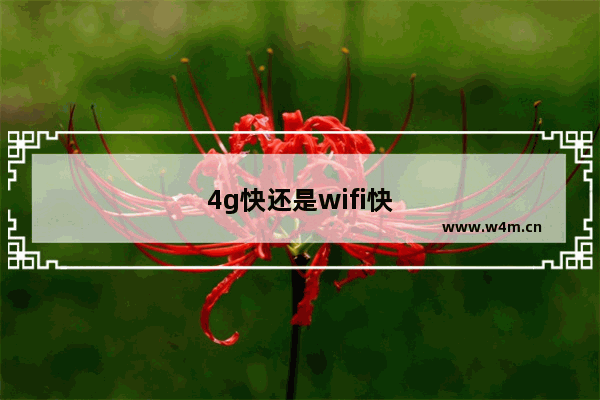 4g快还是wifi快