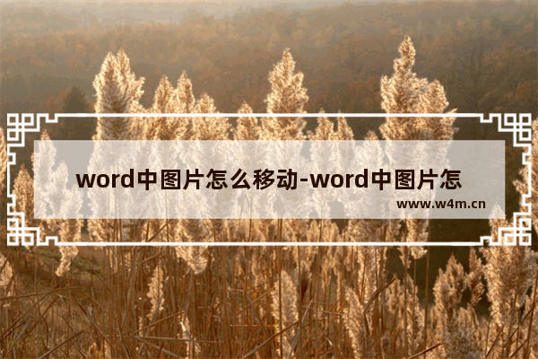 word中图片怎么移动-word中图片怎么移动到想要的位置