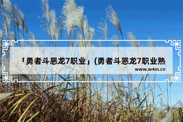 「勇者斗恶龙7职业」(勇者斗恶龙7职业熟练度修改)