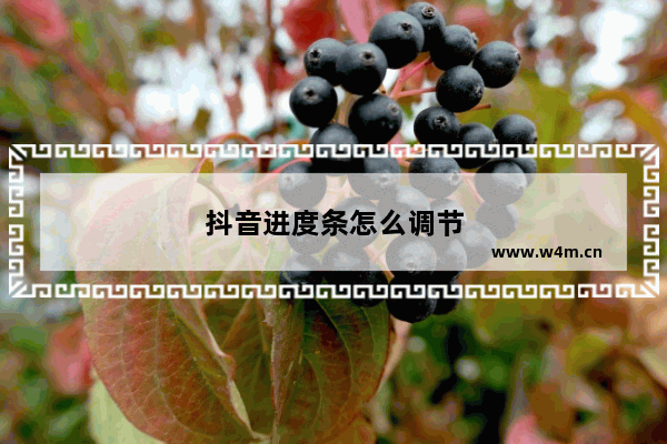 抖音进度条怎么调节