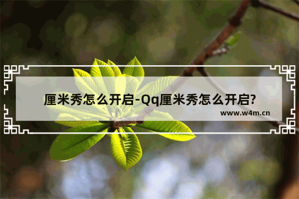 厘米秀怎么开启-Qq厘米秀怎么开启?