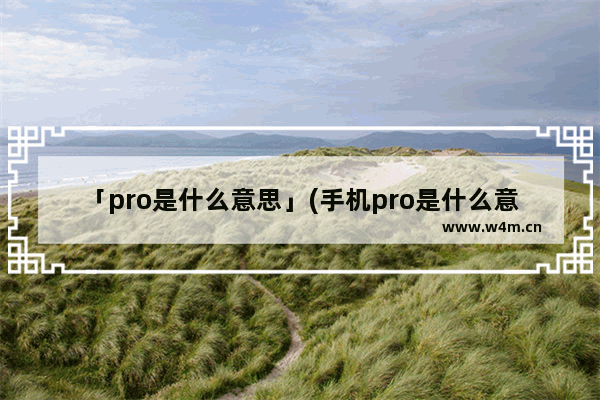 「pro是什么意思」(手机pro是什么意思的缩写)