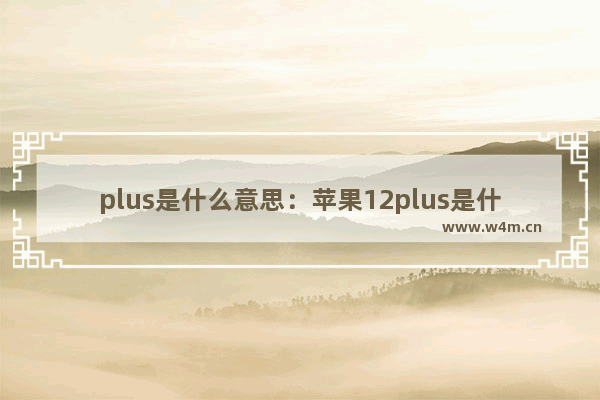 plus是什么意思：苹果12plus是什么意思翻译