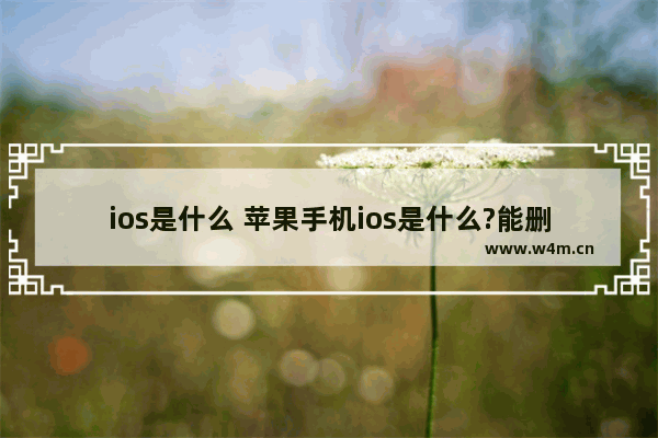 ios是什么 苹果手机ios是什么?能删除吗?