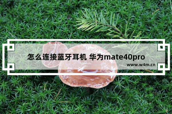 怎么连接蓝牙耳机 华为mate40pro怎么连接蓝牙耳机Buttons