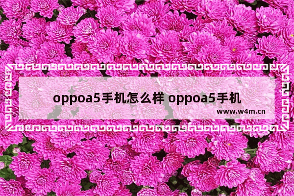 oppoa5手机怎么样 oppoa5手机怎么样 质量好么