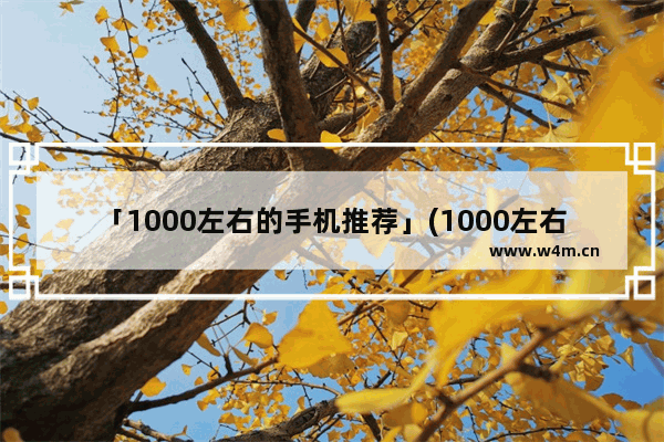 「1000左右的手机推荐」(1000左右的手机推荐2016)