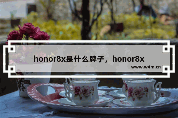 honor8x是什么牌子，honor8x是什么牌子手机