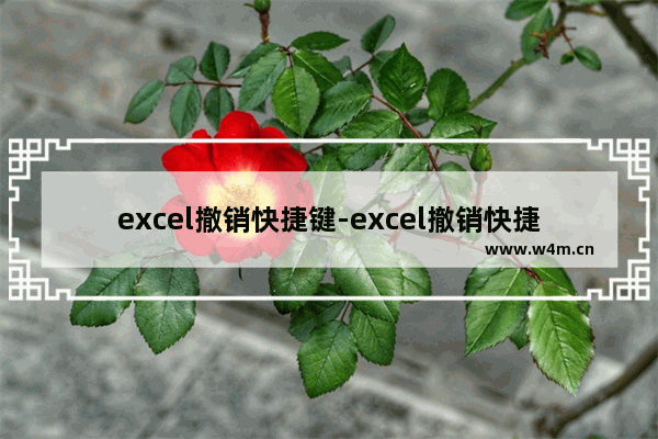 excel撤销快捷键-excel撤销快捷键不能用了